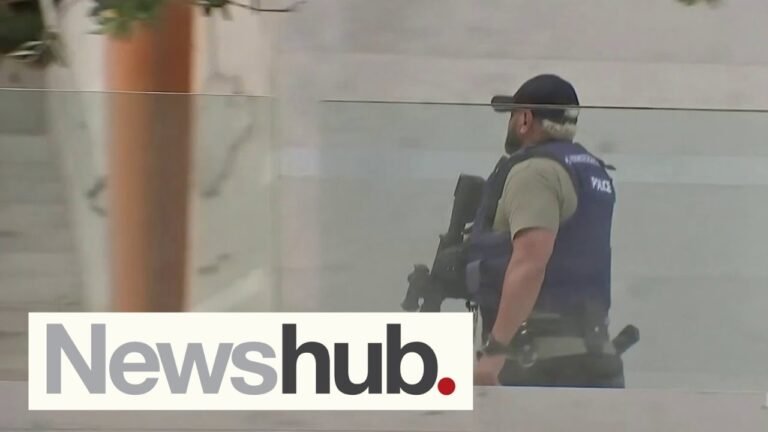 Chaos in Auckland CBD as ‘concerning comments’ spark large police response | Newshub