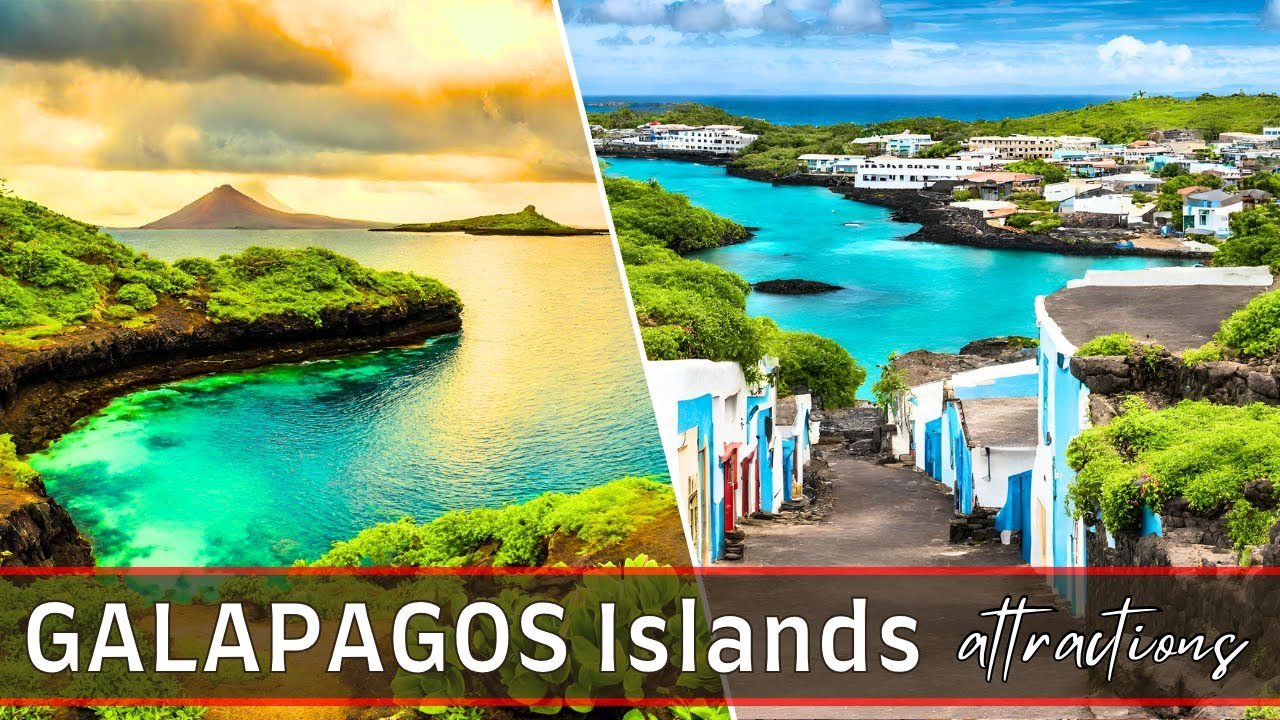 Galapagos Islands Travel | 10 Best things to do in Galapagos Islands