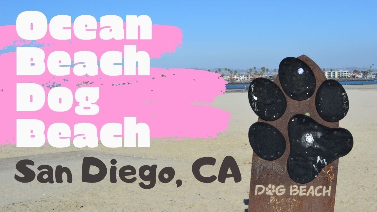 Ocean Beach Dog Beach, San Diego