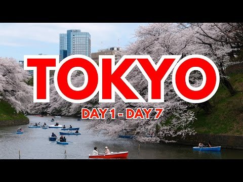 Tokyo 7 Day Travel Guide in 2024