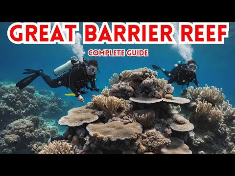 Exploring the Great Barrier Reef in a Clear Canoe!