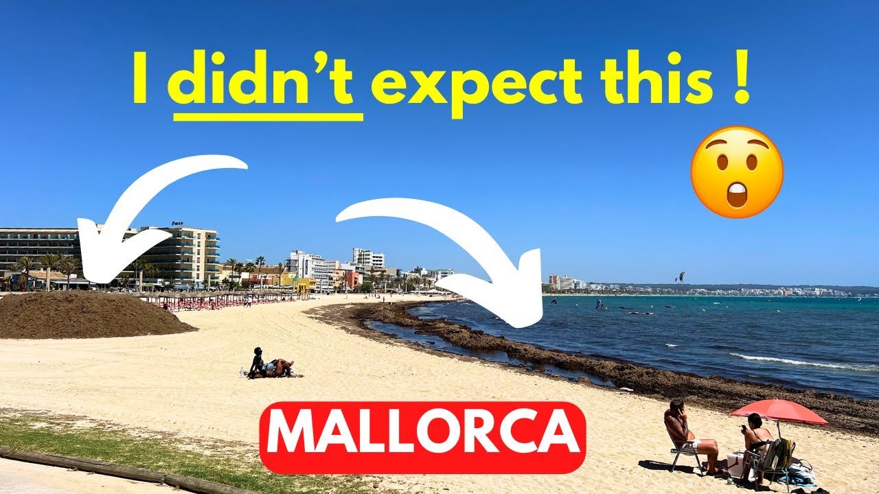 A Mini Guide to CAN PASTILLA, Mallorca, 2024 | I make a shocking discovery